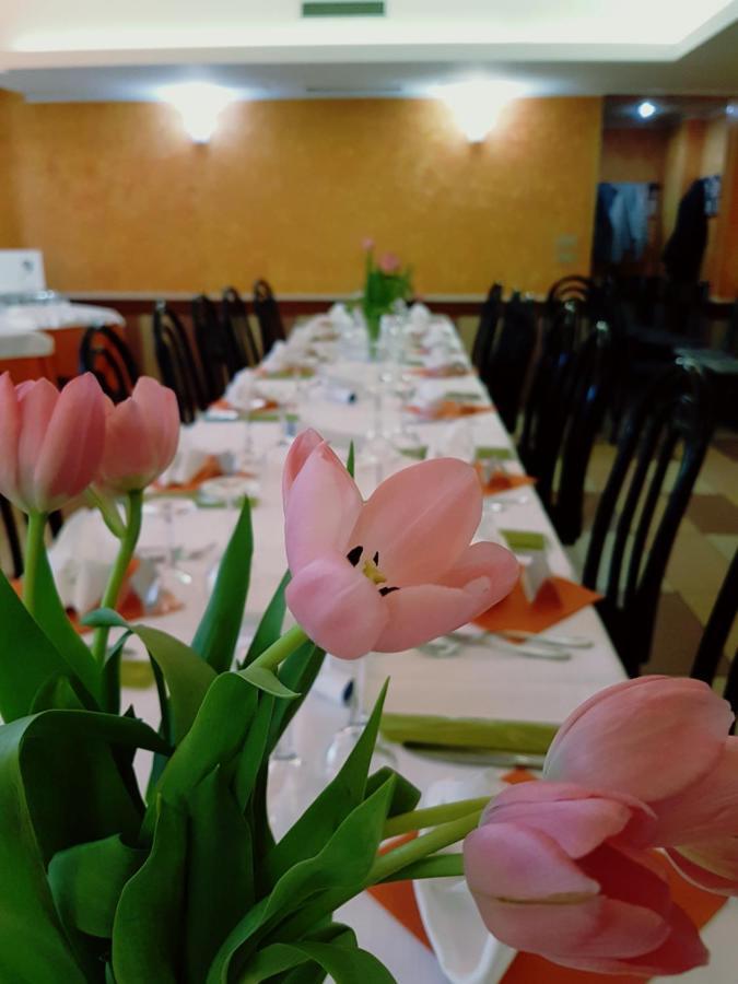 Albergo Ristorante Il Delfino Novara Exterior foto
